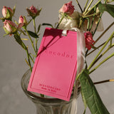 Scented Card Air Freshener / 6 Fragrances / 20 PCS