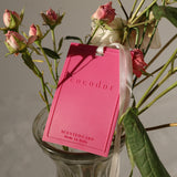 Scented Card Air Freshener / 2 pack [Build Your Own]
