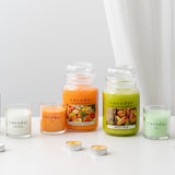 Large Jar Candle [Sicilian Citrus]