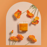 Premium Jar Candle [Black Cherry]