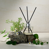 Signature Reed Diffuser / 200ml [Little Forest]