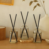 Basic Diffuser / 100ml / 8 Fragrances / 12 PCS